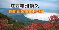 小b呲水视频